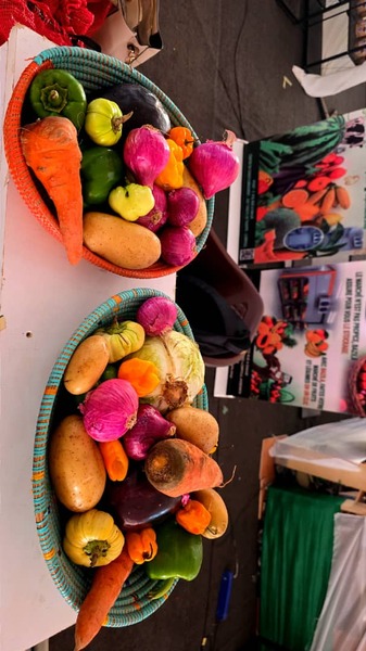 pack légume 