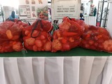 pack légume 
