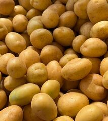 pomme de terre 
