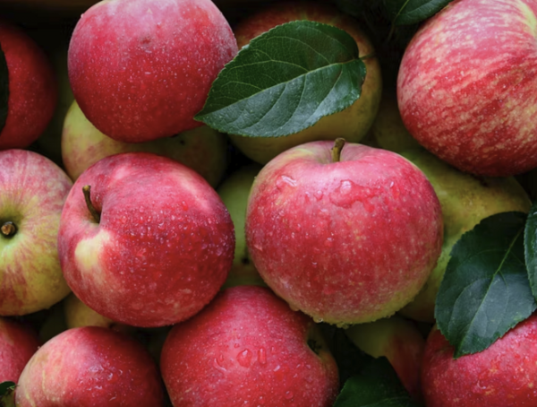 pomme fraiche