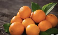 orange fraiche