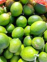 citron 