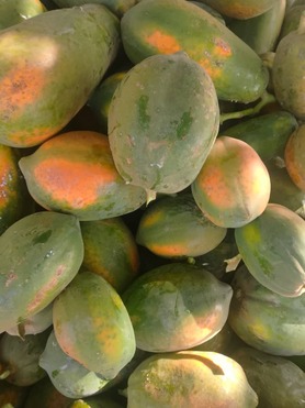 papaye 